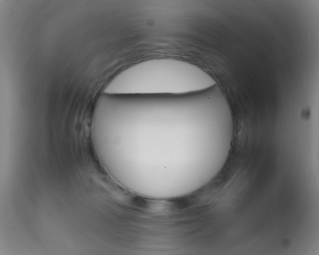 X0000112510226200908171056