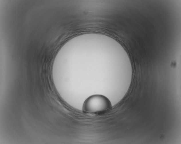 X0000112510227200908171056