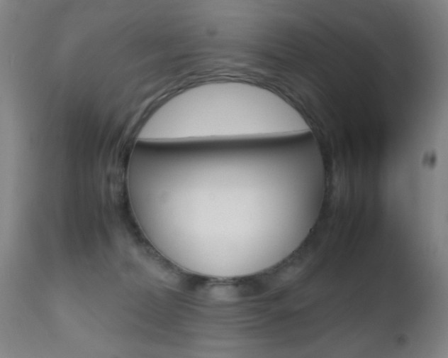X0000112510228200908171056