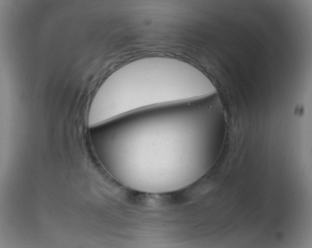 X0000112510229200908171056