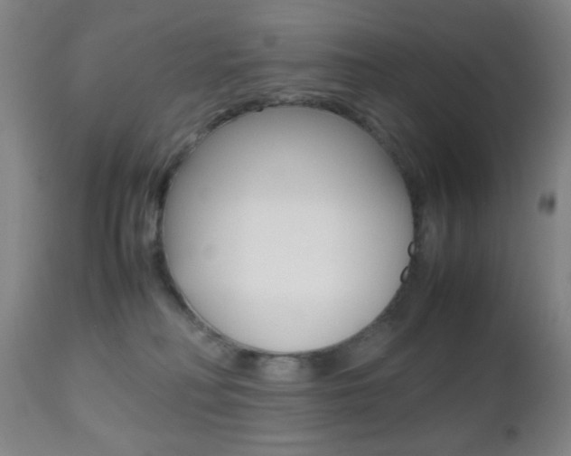 X0000112510230200908171056