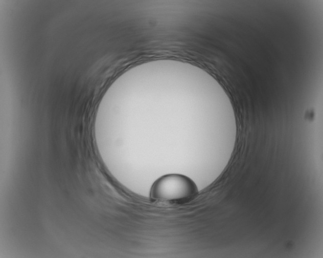 X0000112510231200908171056