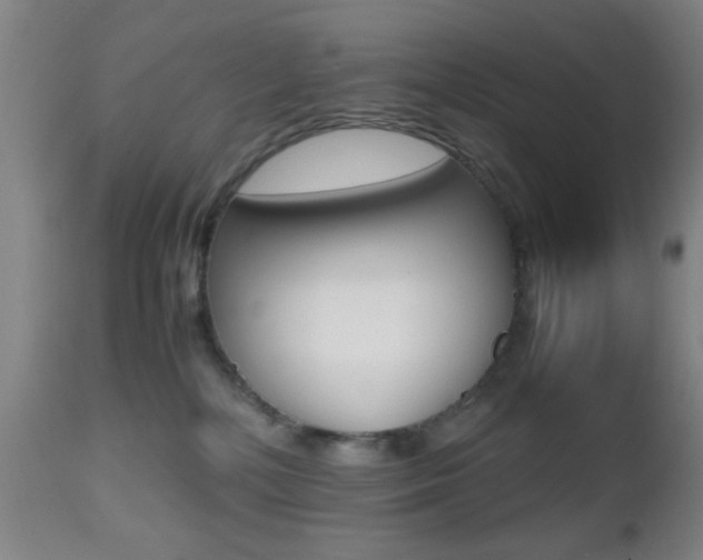 X0000112510232200908171056
