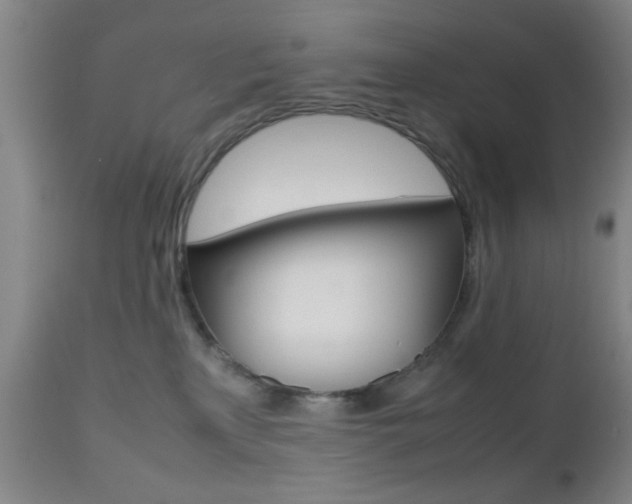 X0000112510233200908171056