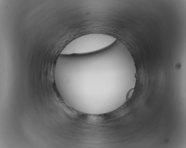X0000112510234200908171056