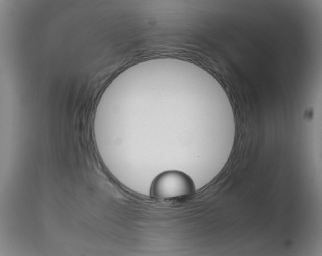 X0000112510235200908171056