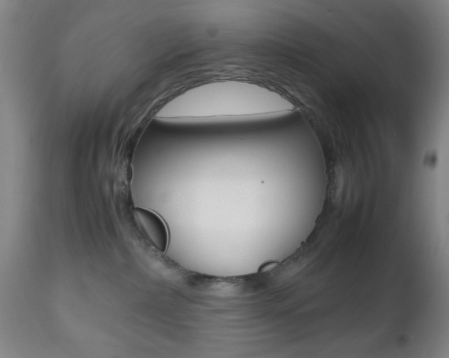X0000112510236200908171056