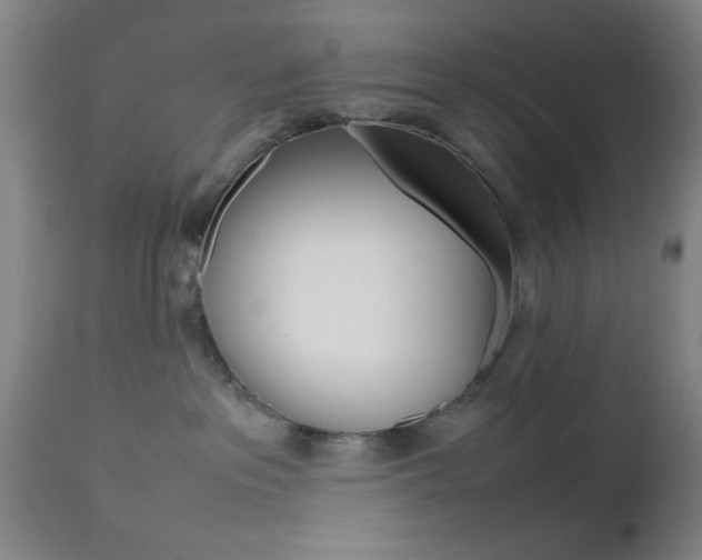 X0000112510237200908171056