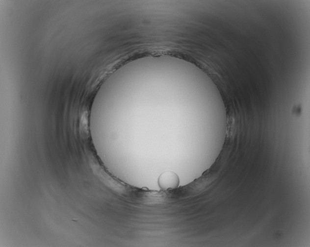 X0000112510238200908171056