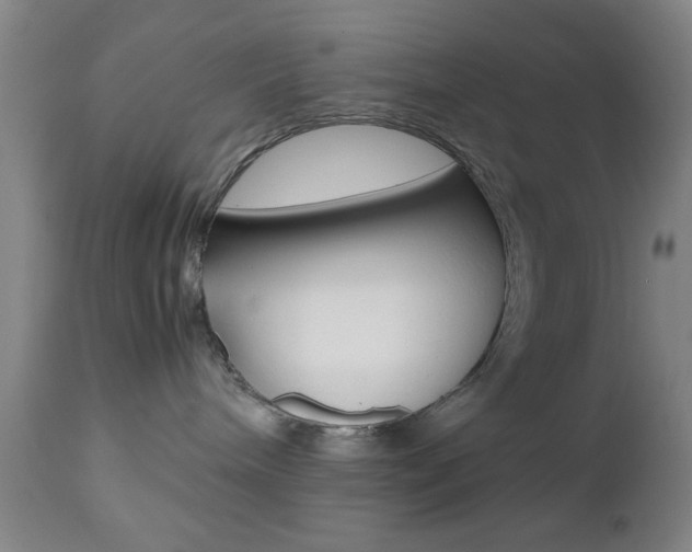 X0000112510240200908171055