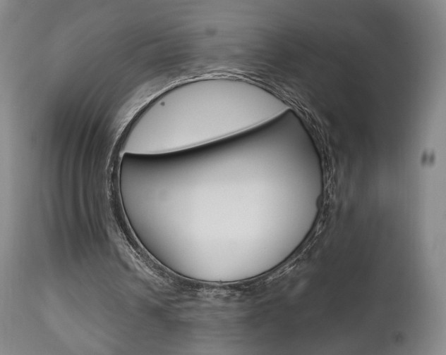 X0000112510242200908171055
