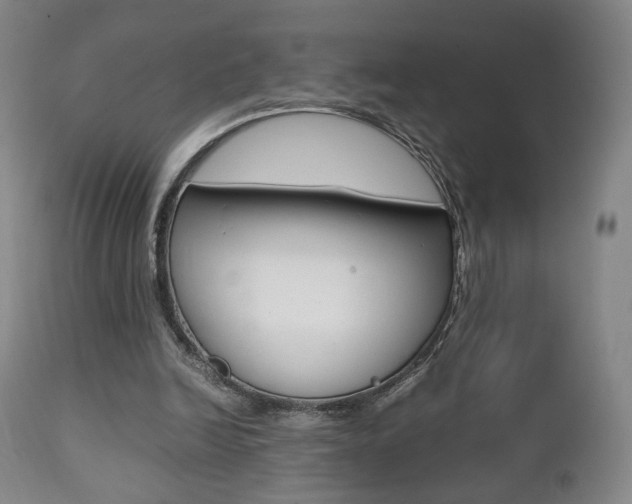 X0000112510246200908171055