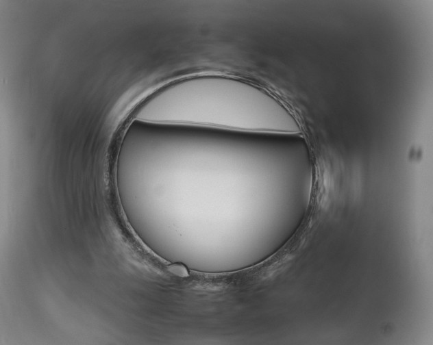 X0000112510247200908171055