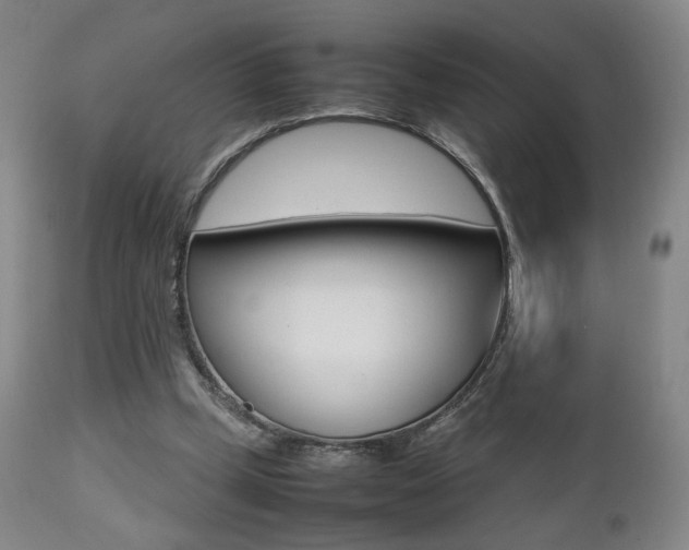 X0000112510249200908171055