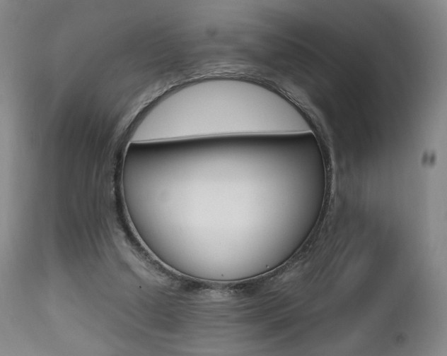 X0000112510250200908171055