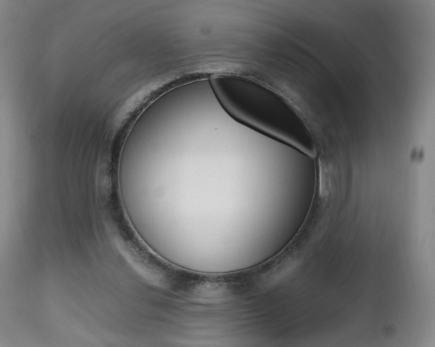 X0000112510252200908171055