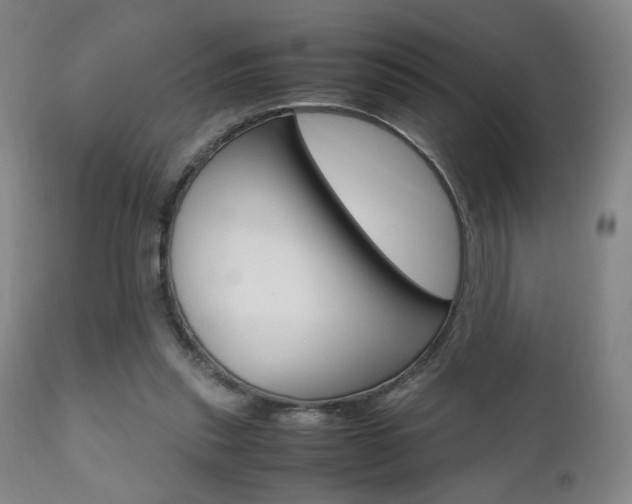 X0000112510253200908171055