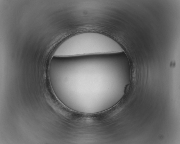 X0000112510254200908171055