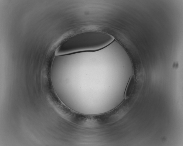 X0000112510256200908171055