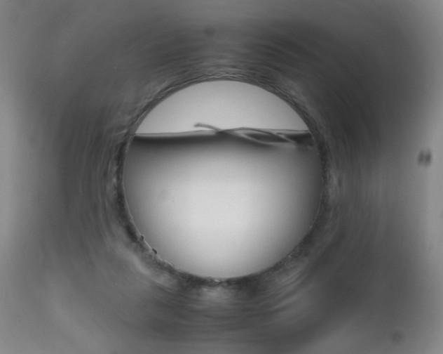 X0000112510259200908171055