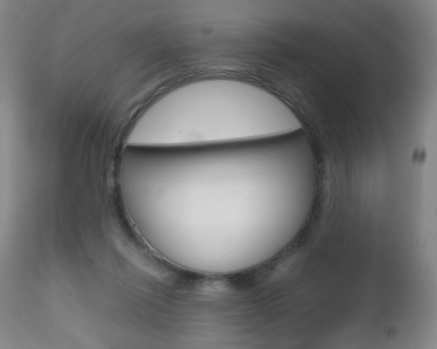 X0000112510262200908171055