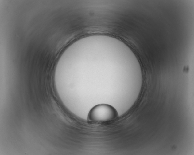 X0000112510264200908171055
