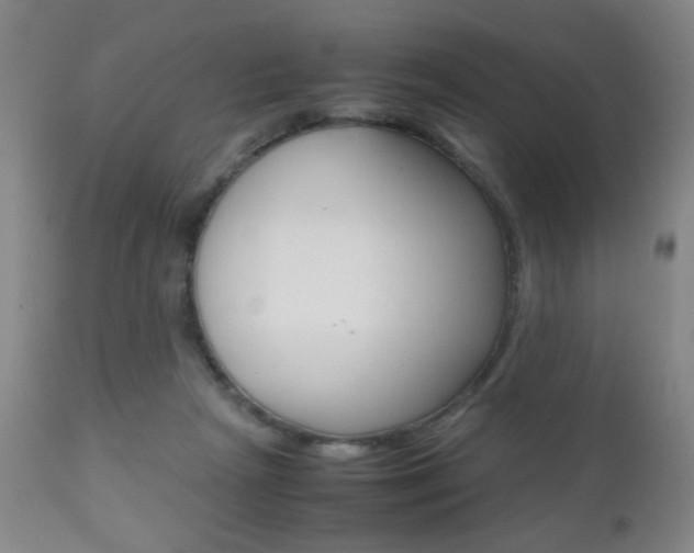 X0000112510265200908171055