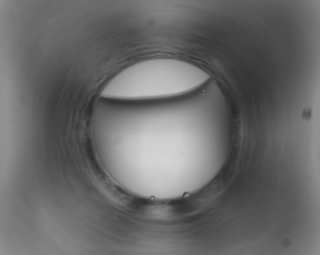 X0000112510266200908171055