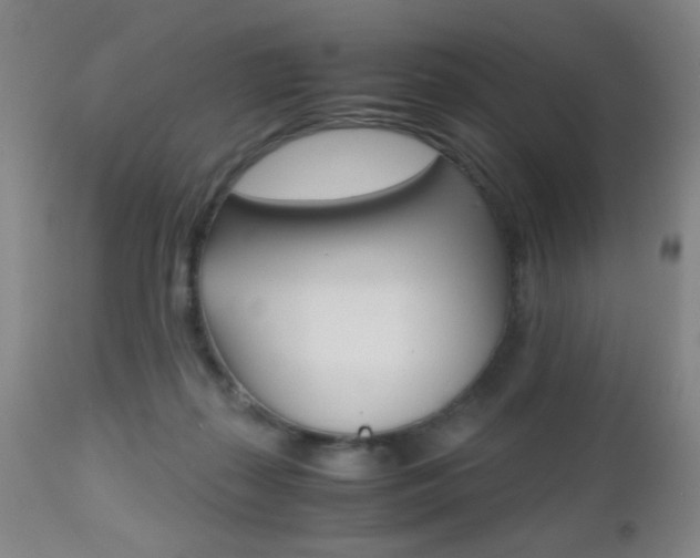 X0000112510267200908171055