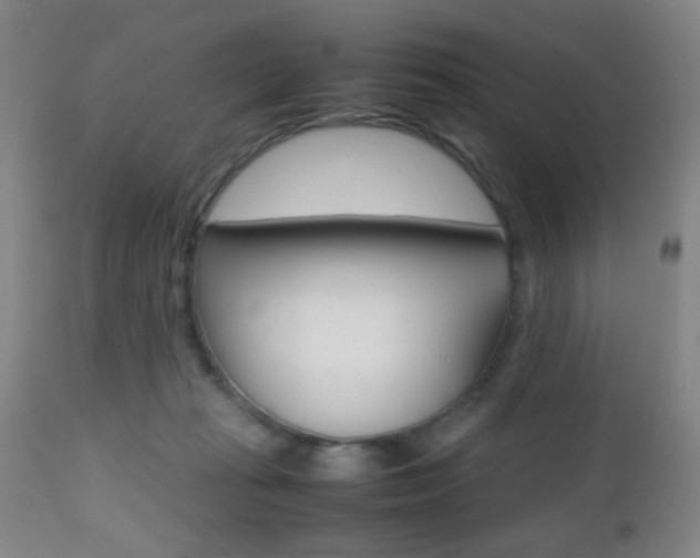 X0000112510269200908171055