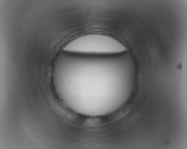 X0000112510271200908171055