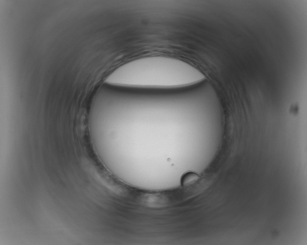 X0000112510275200908171055