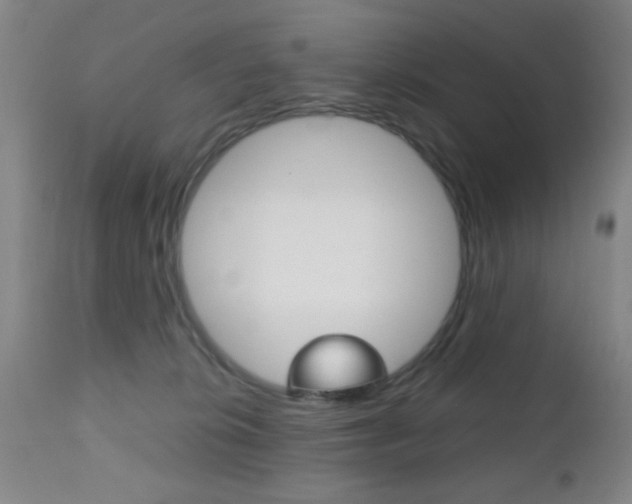 X0000112510276200908171055