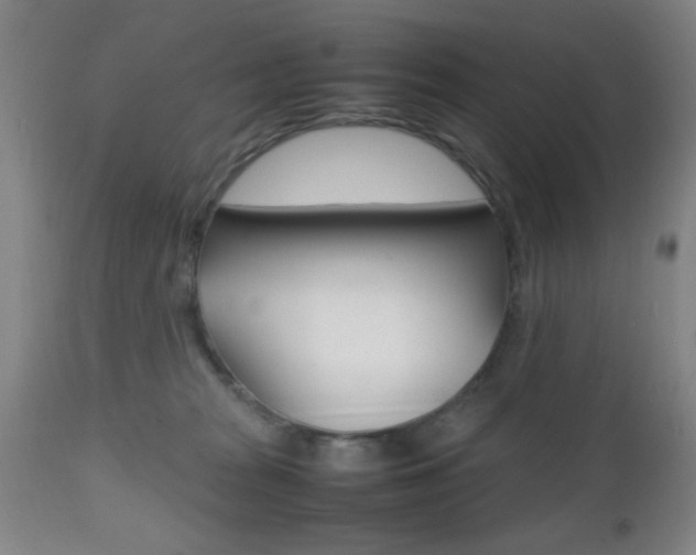 X0000112510277200908171055