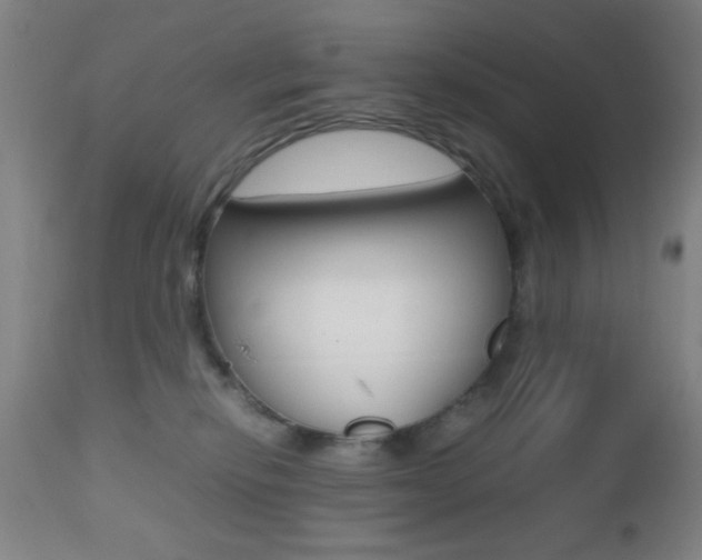 X0000112510278200908171055