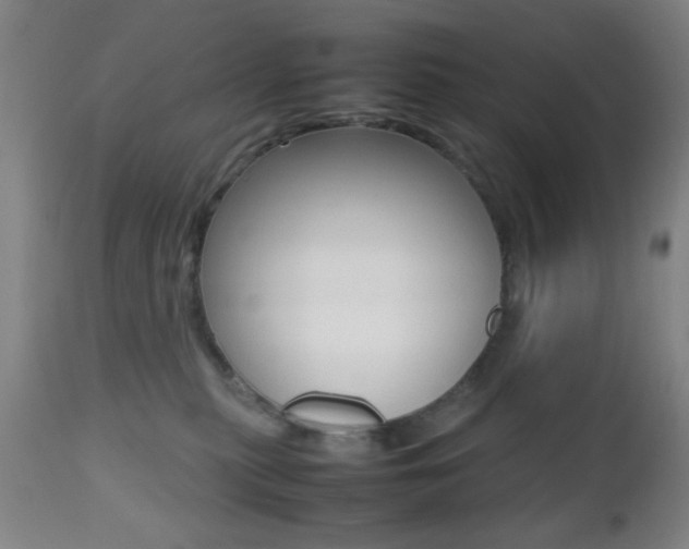 X0000112510279200908171055