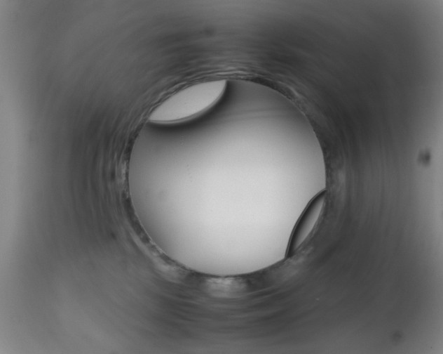 X0000112510281200908171055