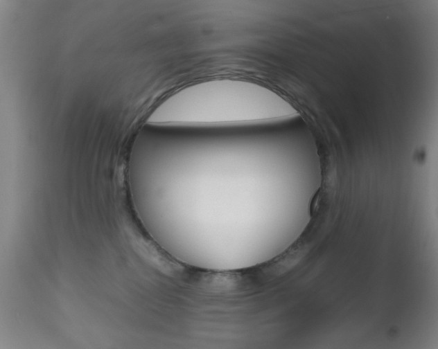 X0000112510282200908171055