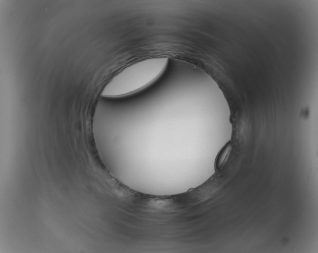 X0000112510283200908171055