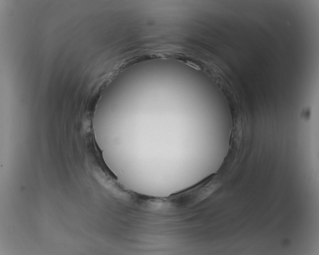 X0000112510284200908171055