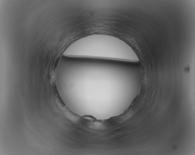 X0000112510285200908171055