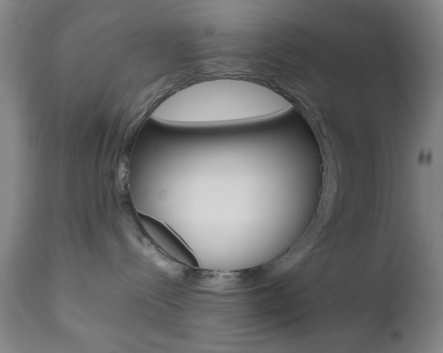 X0000112510288200908171055