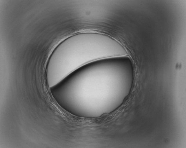 X0000112510289200908171055
