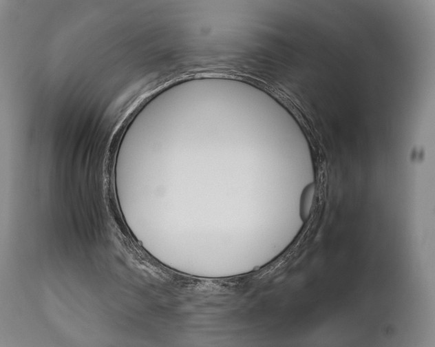 X0000112510290200908171055