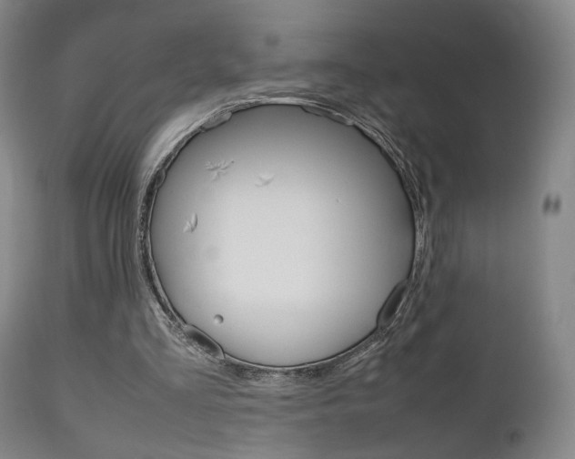 X0000112510293200908171055