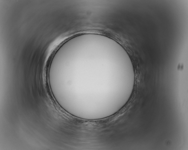 X0000112510294200908171055