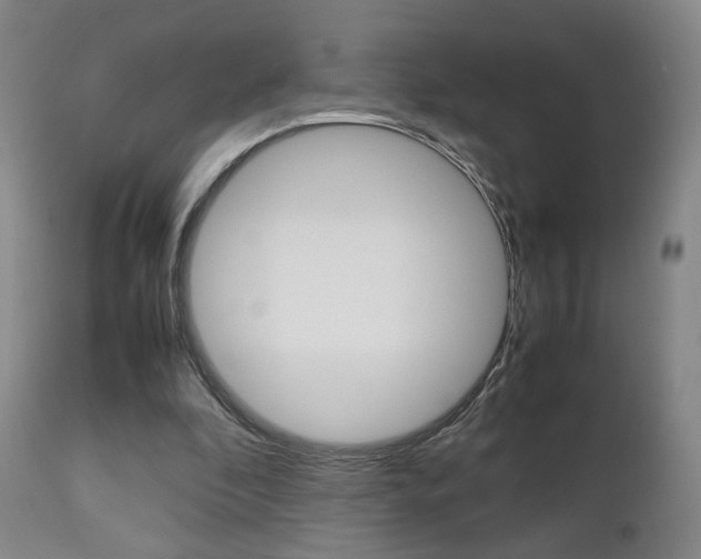 X0000112510296200908171055