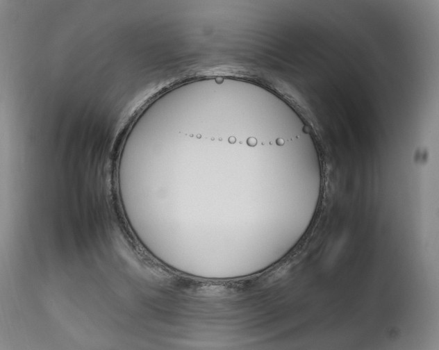 X0000112510298200908171055
