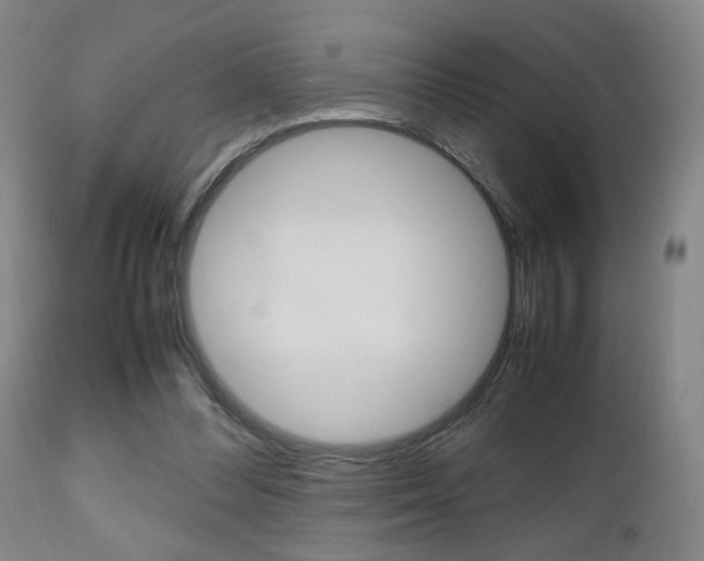 X0000112510300200908171054