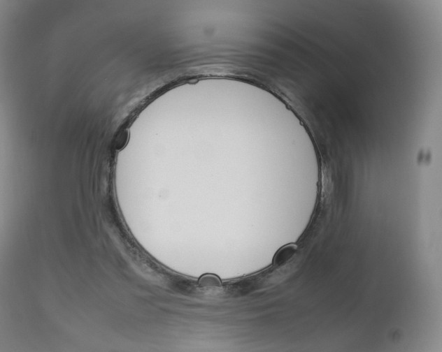 X0000112510301200908171054
